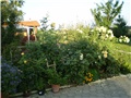 gredica